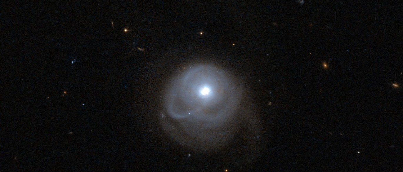 16176500.jpg