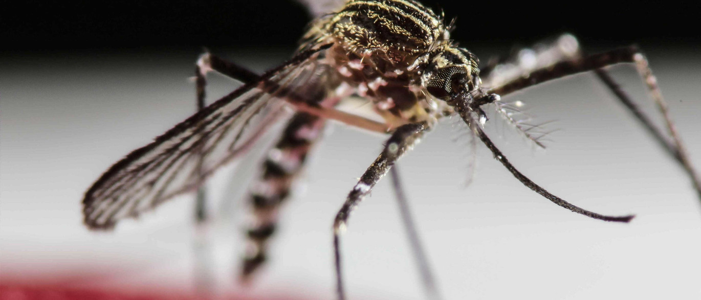 ESTADO POLICIAL: Por causa da Epidemia causada pelo vírus Zika, Governo do Brasil autoriza entrada forçada de agentes de saúde e militares em imóveis