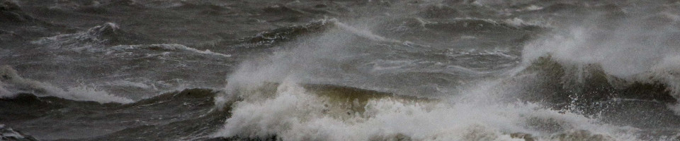 Portugal empenhado em melhorar aproveitamento da diversidade do mar Portugal empenhado em melhorar aproveitamento da diversidade do mar