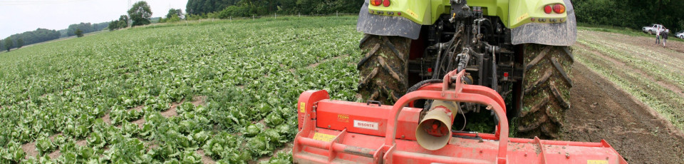 Guiné-Bissau e Câmara Agricultura Lusófona preparam estratégia para agronegócios