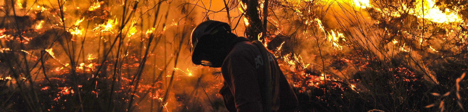 Dominado incêndio no parque natural do Alvão, Mondim de Basto