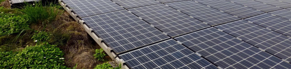 Energia solar passa a alimentar povoação com 6500 habitantes