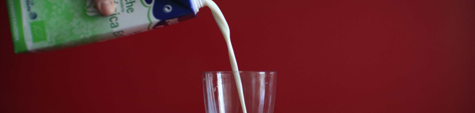 Afinal, deve ou não um adulto beber leite? 