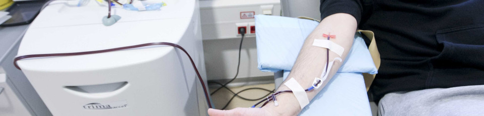 IPO/Porto pede ajuda à comunidade para dádivas de sangue