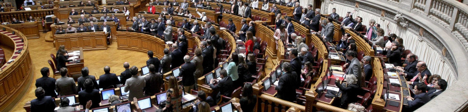 Perito em legislação custa 18 mil euros ao Parlamento