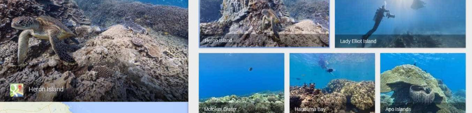 Quer ver a Grande Barreira do Coral? Vá ao Google