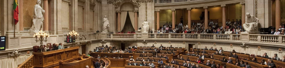 Deslocações de deputados custam 100 mil euros ao Parlamento