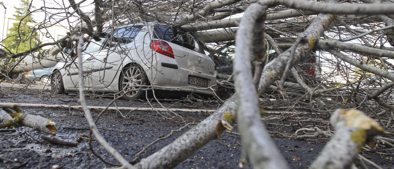 Resultado de imagem para Quedas de árvores e inundações nos distritos de Beja e Évora