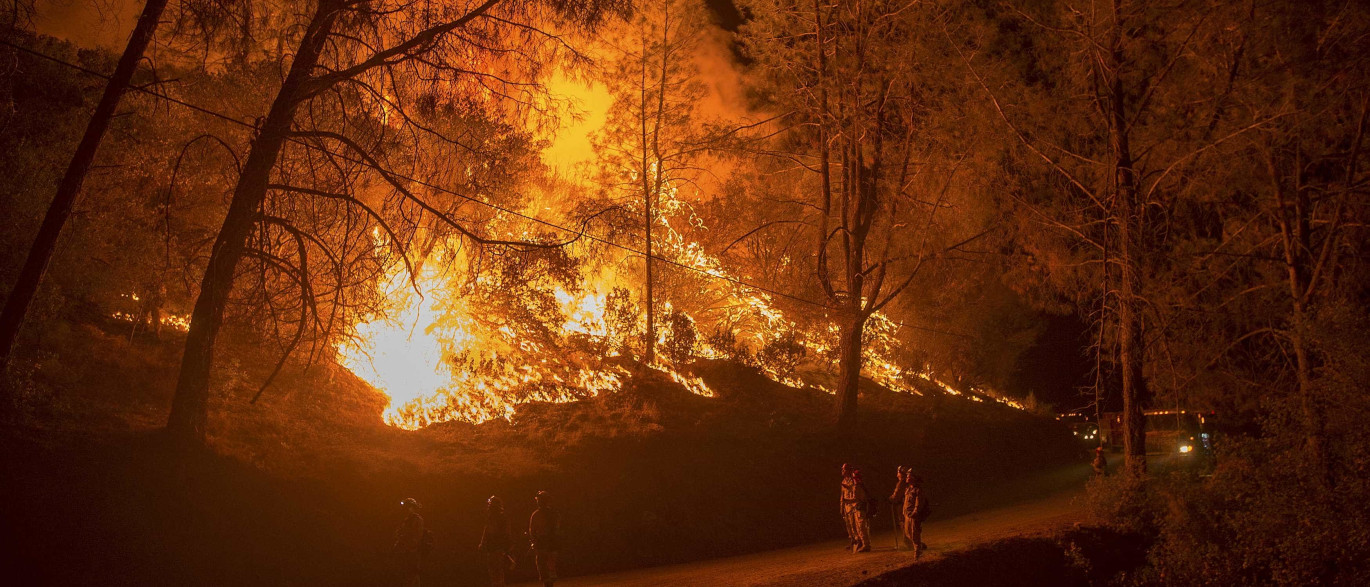 Oliveira do Bairro sensibiliza para o perigo de incêndios rurais - Notícias ao Minuto (liberação de imprensa)