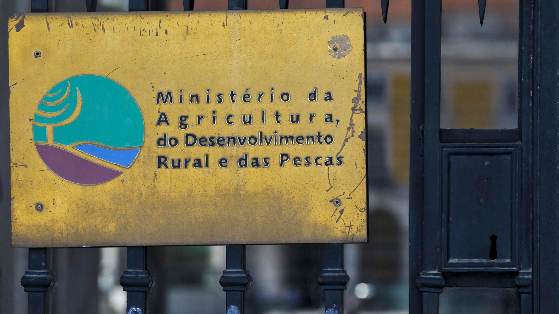 Governo "está ilegalmente impedido" de interferir na gestão da Lactogal