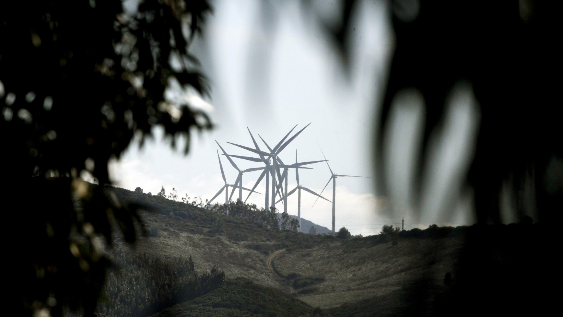 UE adota meta obrigatória de 32% de energias renováveis até 2030