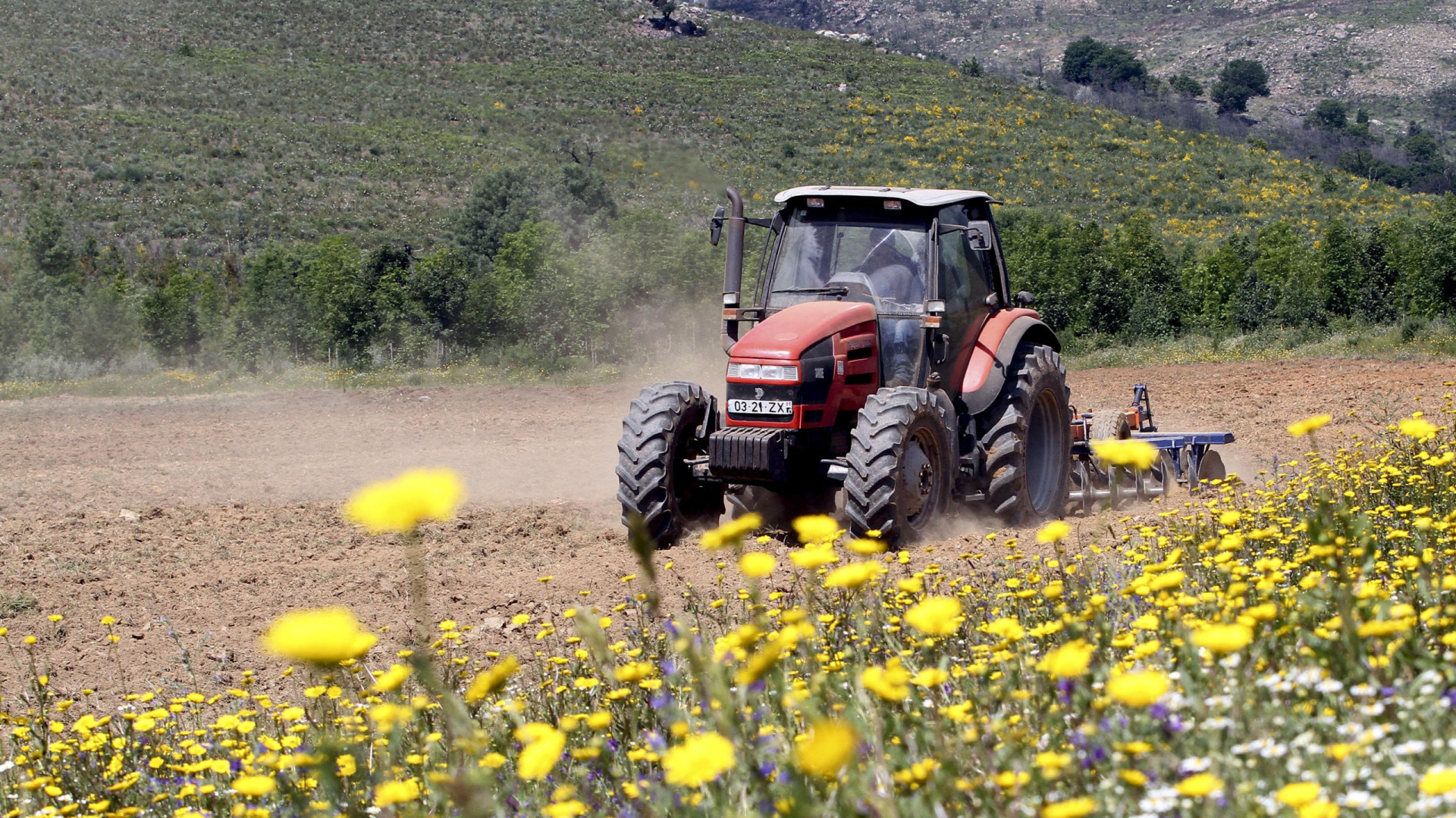 Confederação de Agricultores diz que OE discrimina a atividade privada