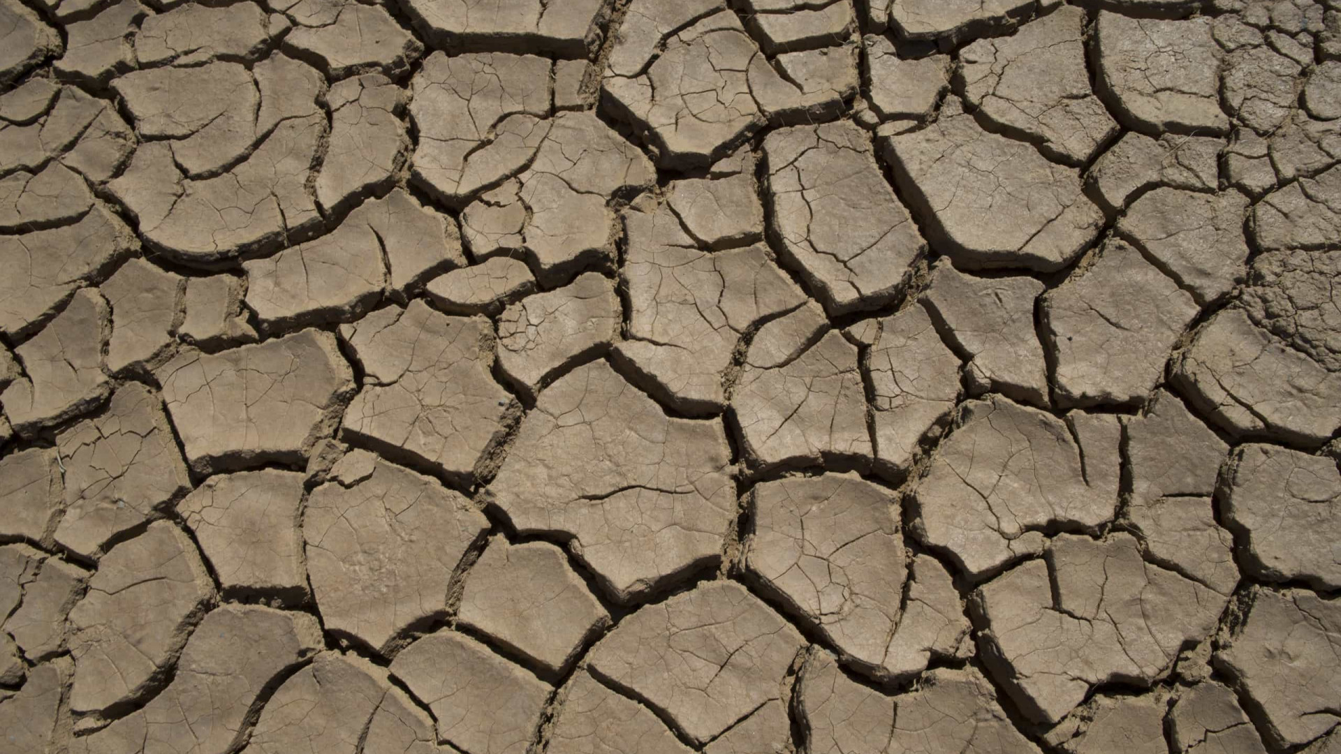 Seca prolongada afeta 1,42 milhões de pessoas em Angola