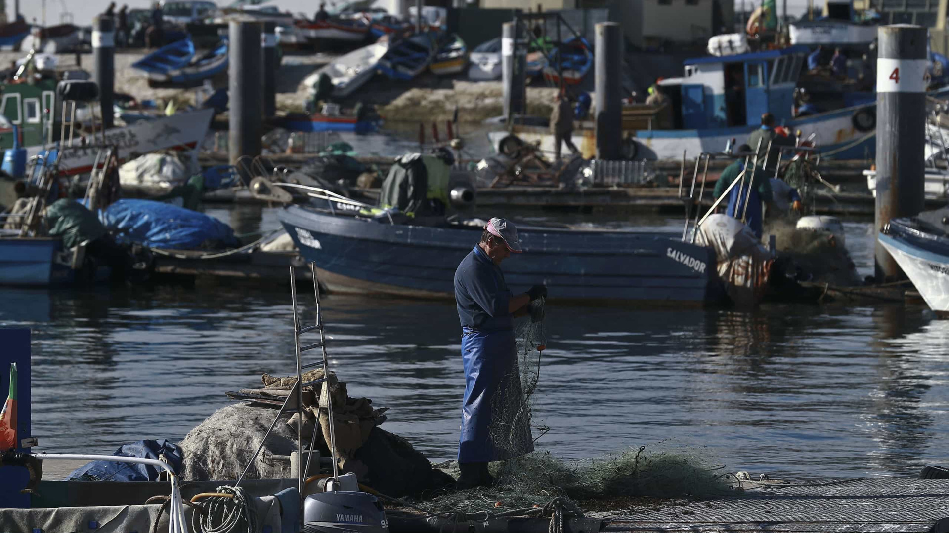 Pescadores vão receber meio milhão de euros para abandonar atividade