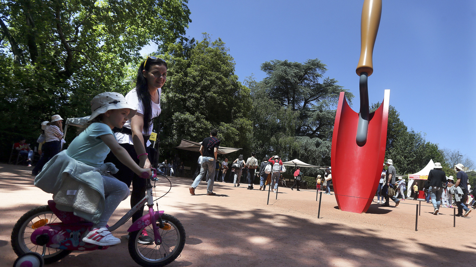 Aveiro anuncia protocolo com Serralves para formação cultural dos jovens