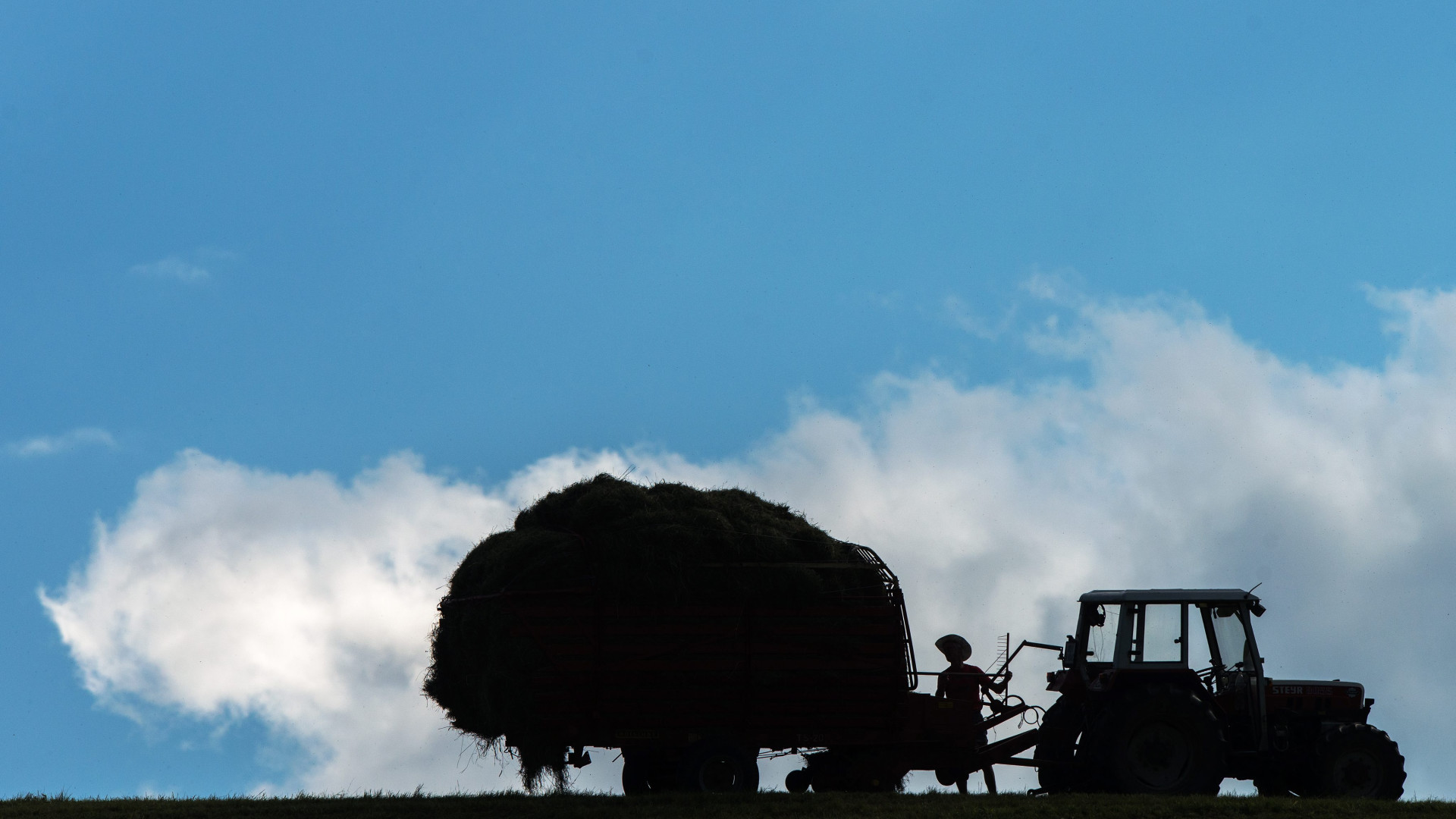 IRS: PS quer que novo regime exclua agricultores e pequenos comerciantes