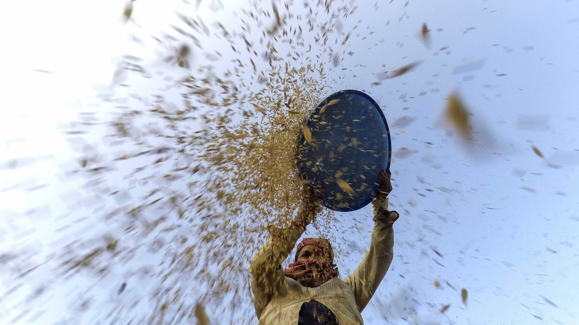 Governo chinês doa dez mil toneladas de arroz a Moçambique