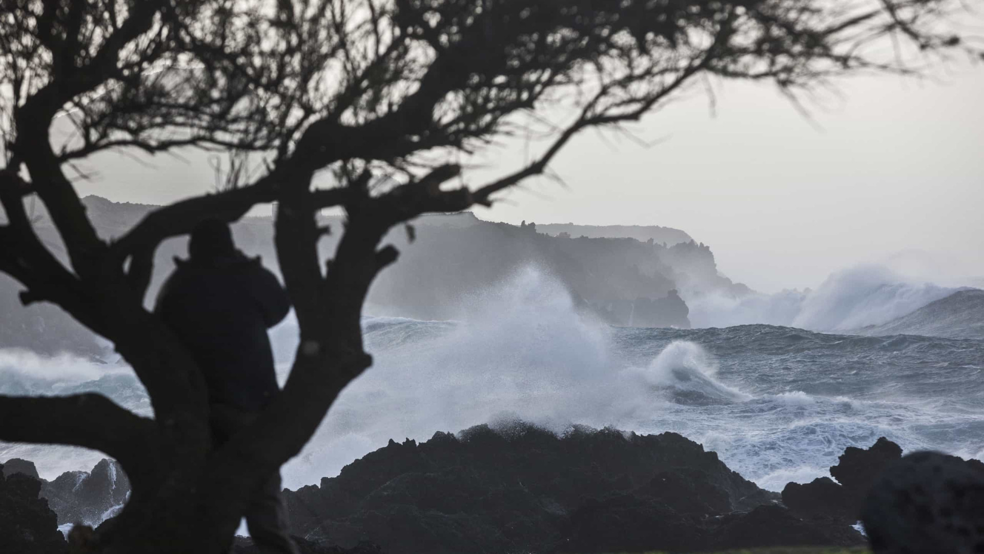 Ventos fortes afetam Açores nas próximas horas