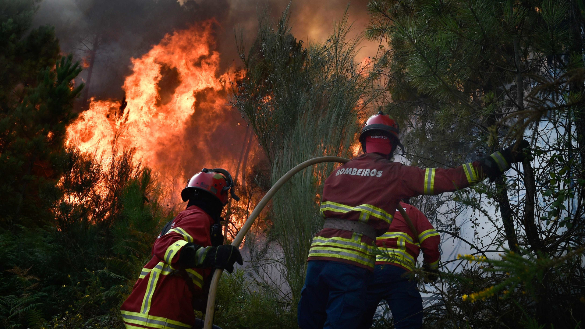 Dominado fogo em Guimarães