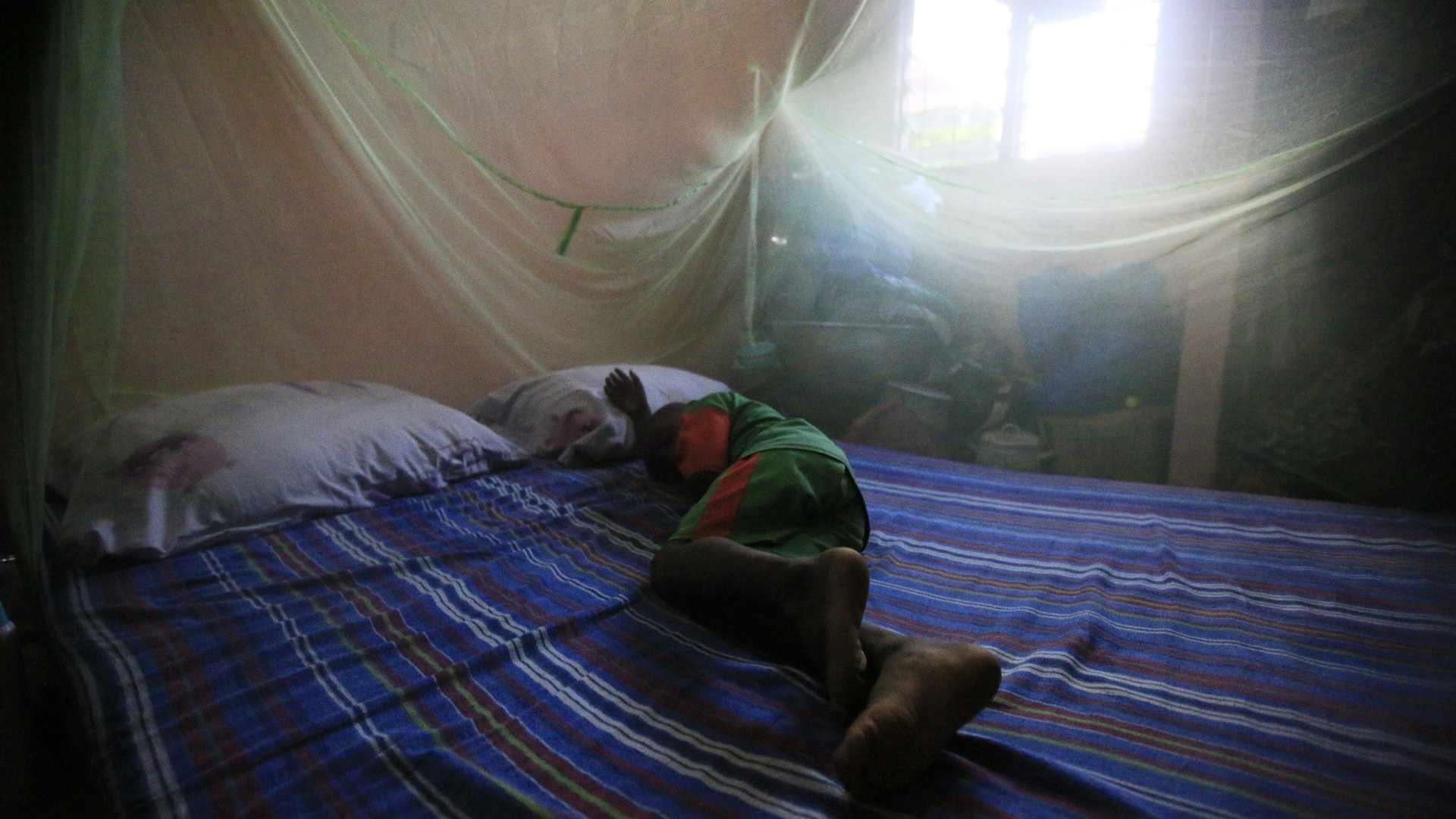 Cabo Verde sem casos autóctones de malária desde janeiro