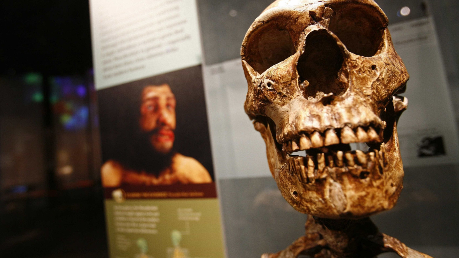 FALSA BANDEIRA: Nova teoria diz que humanos começaram a ocupar o mundo há 120 mil anos