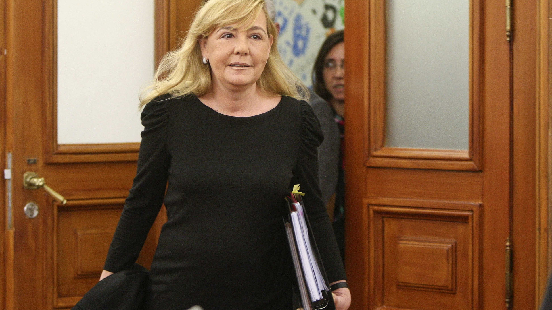 Teixeira da Cruz compara situação do PSD a "carro a ir contra uma parede"