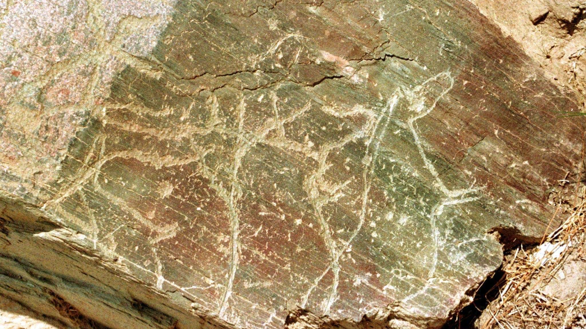 Novas descobertas arqueológicas no Coa mostram figuras em movimento