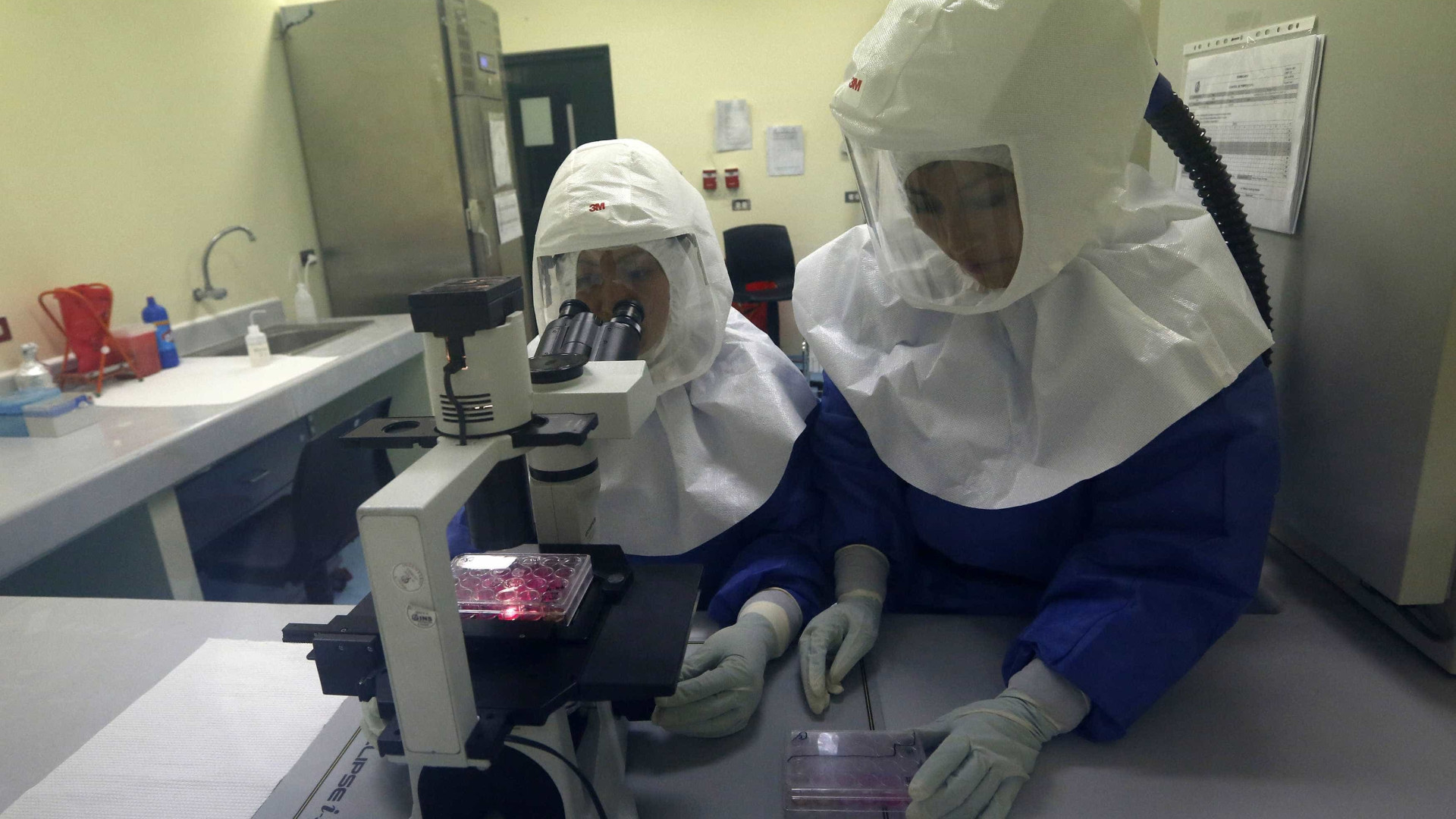 OMS convoca Comité de Emergência para analisar evolução do Ébola