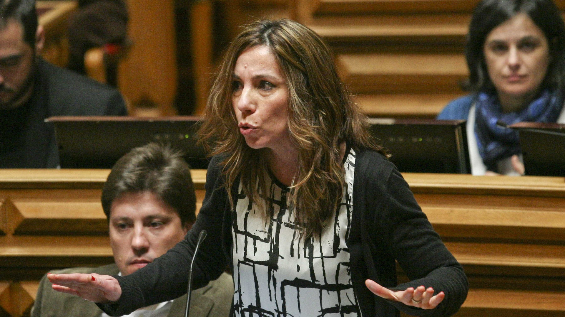 PEV vê "com grande preocupação" a entendimento entre Governo e PS