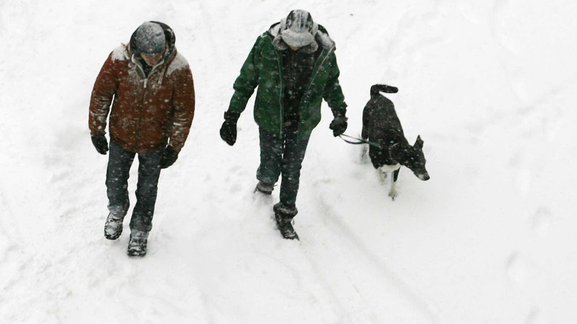Neve coloca amanhã dez distritos sob aviso amarelo