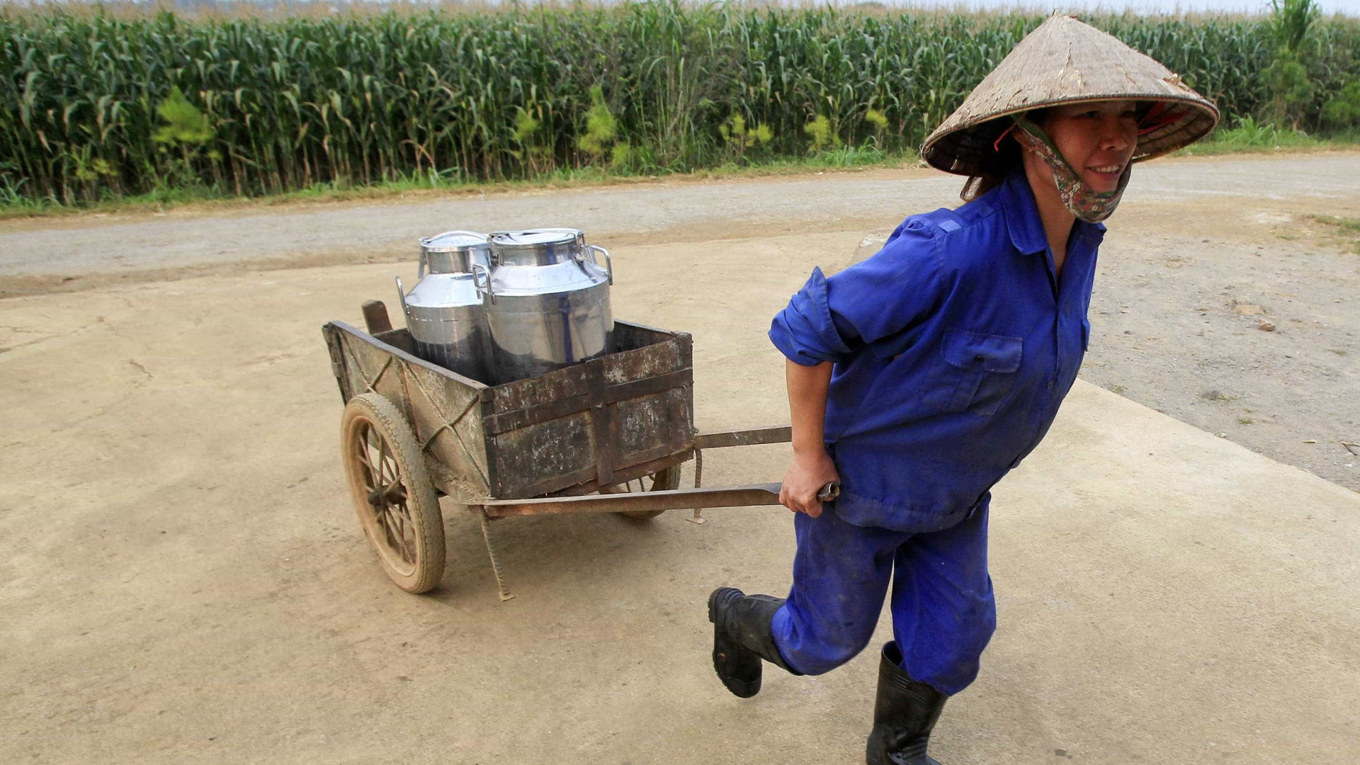 China propõe a desempregados em cidades que se mudem para zonas rurais