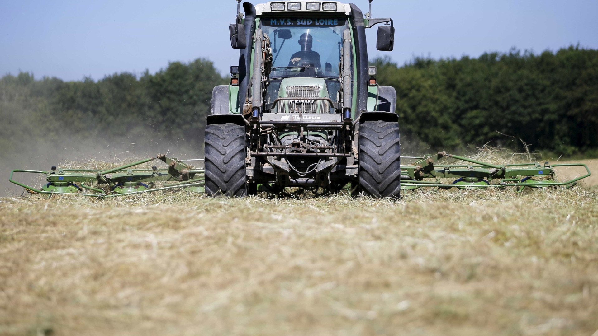 Aprovado apoio a agricultores afetados por intempéries de maio no Douro