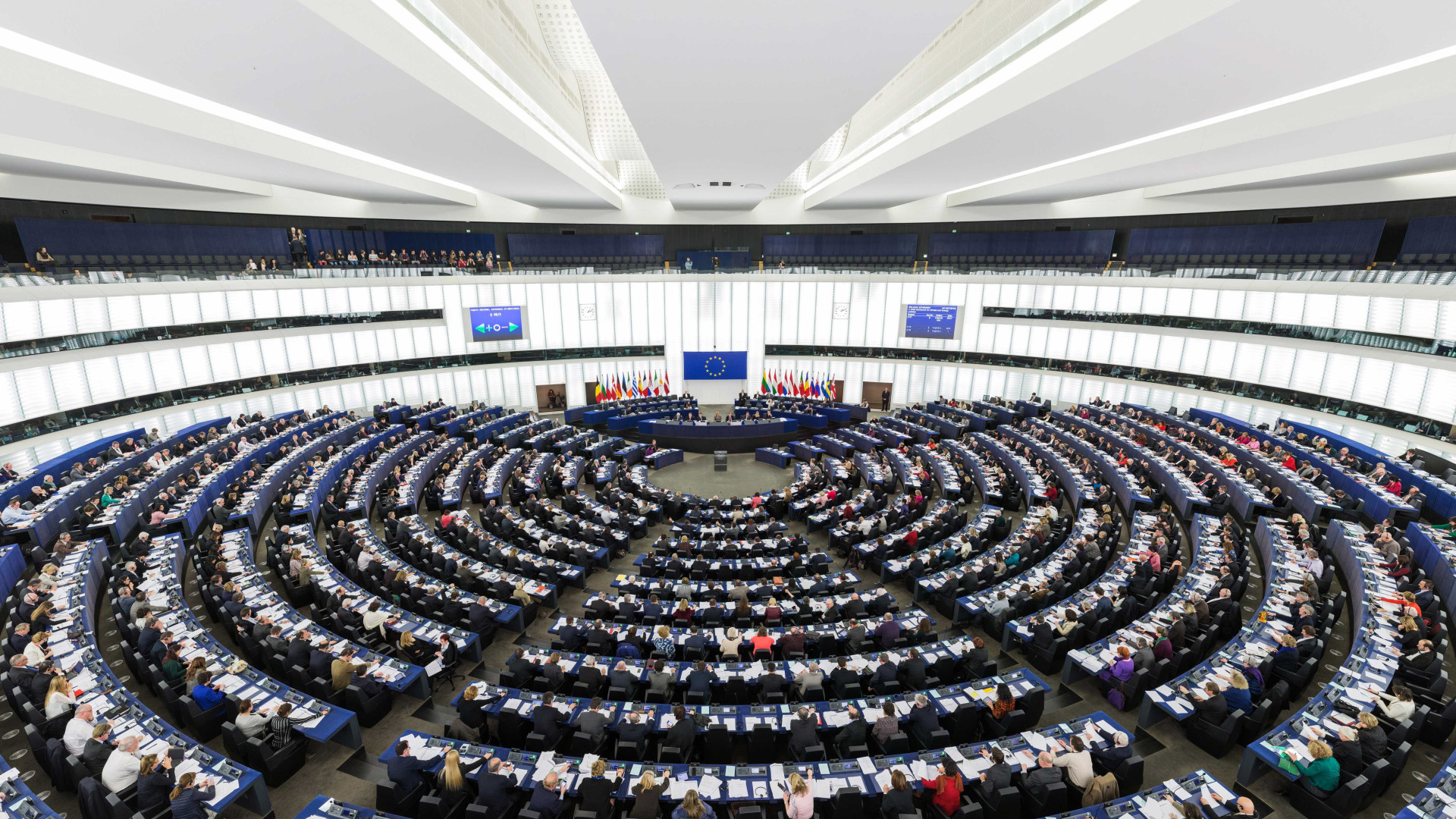 Grupo socialista no Parlamento Europeu vai eleger novo líder em março