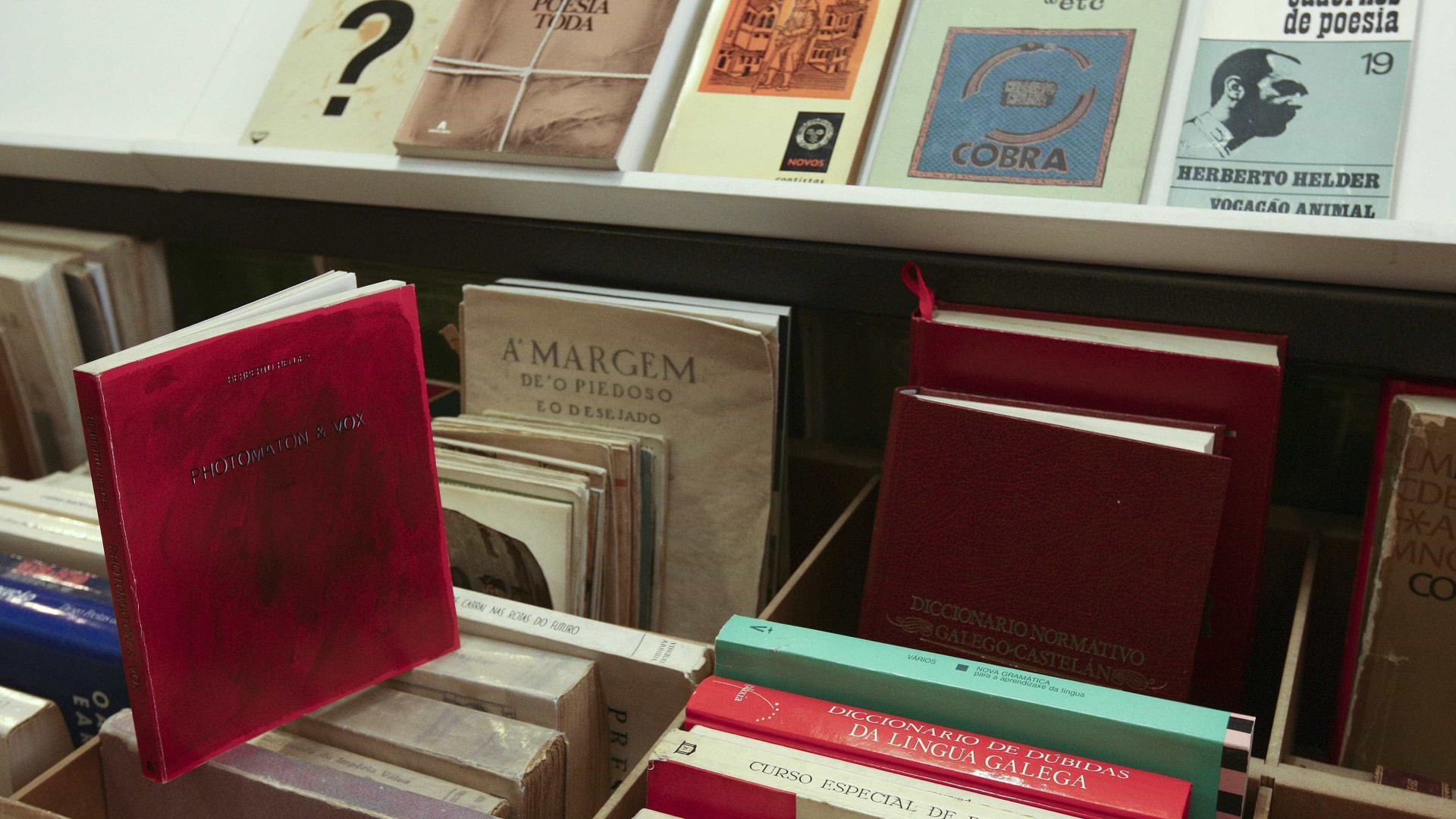 'Gente Grave' vence Prémio Literário Eugénio Lisboa