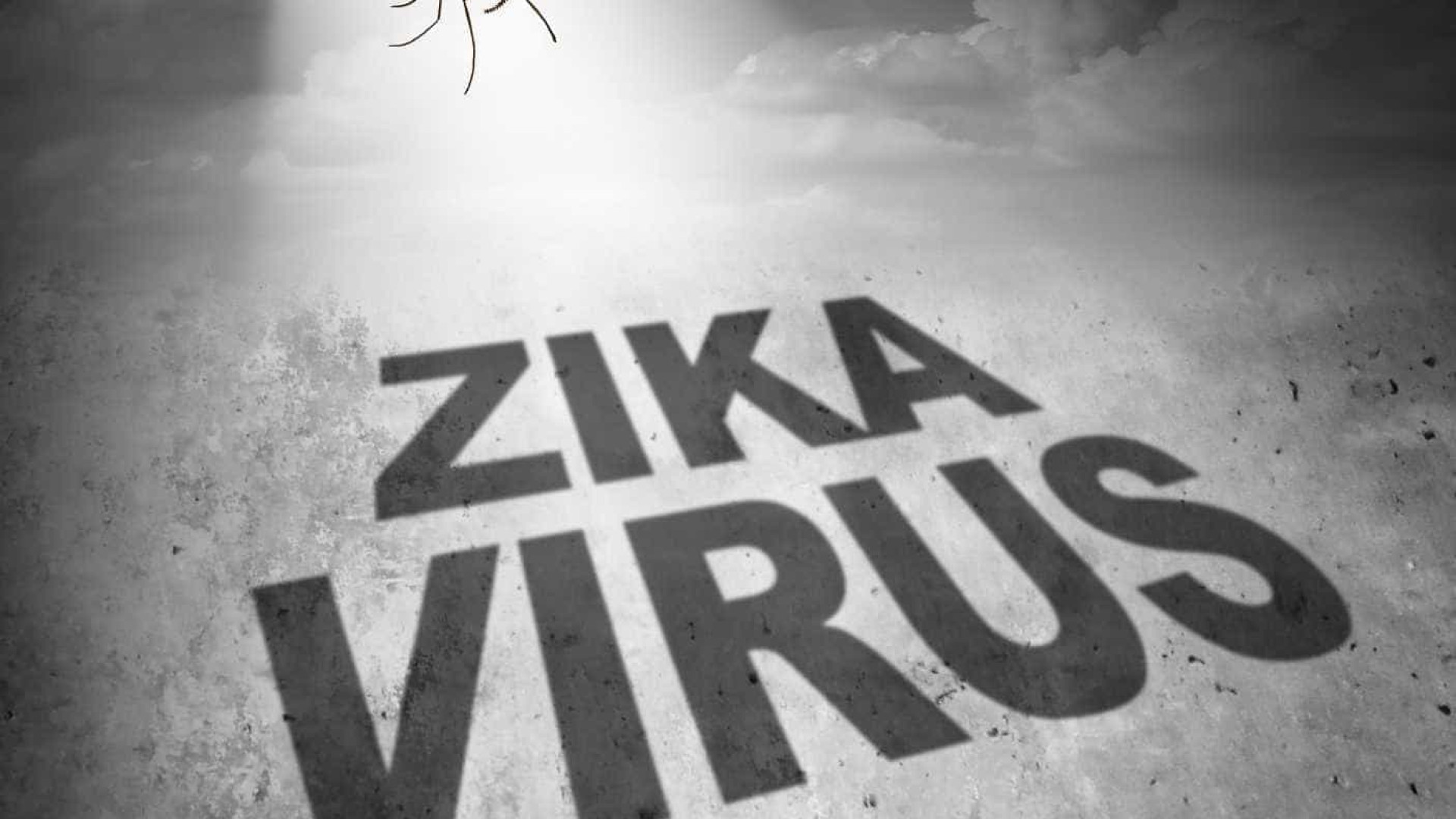 Empresa austríaca anuncia estudo clínico de vacina contra o Zika