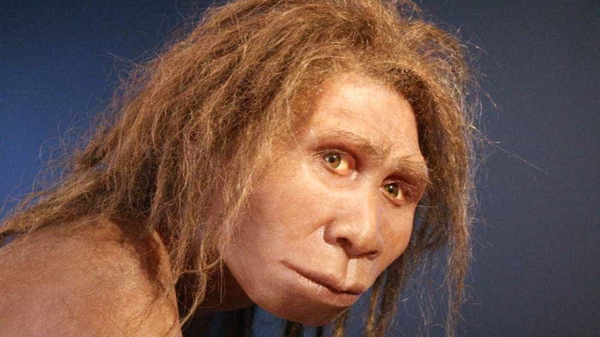 Extinção dos neandertais terá sido lenta ao contrário do que se pensava