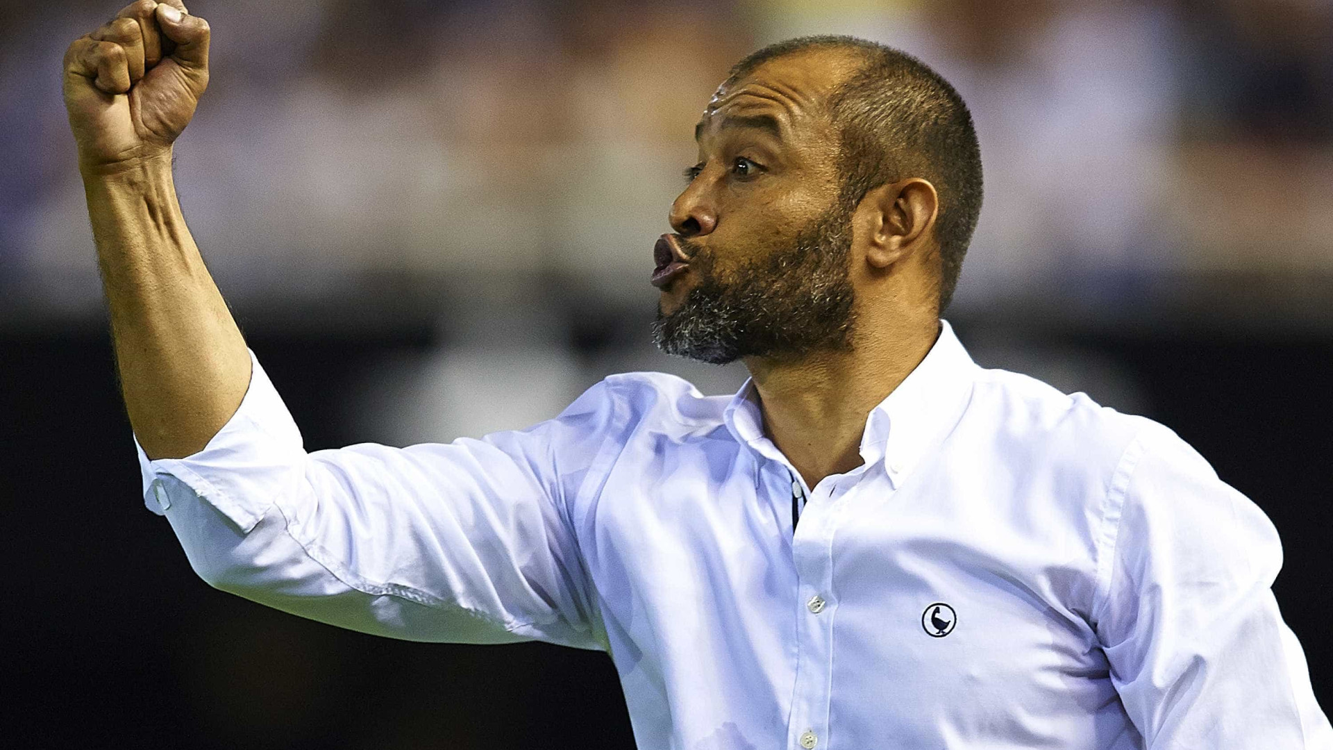 Belgas não esquecem Depoitre na noite do abraço de Nuno