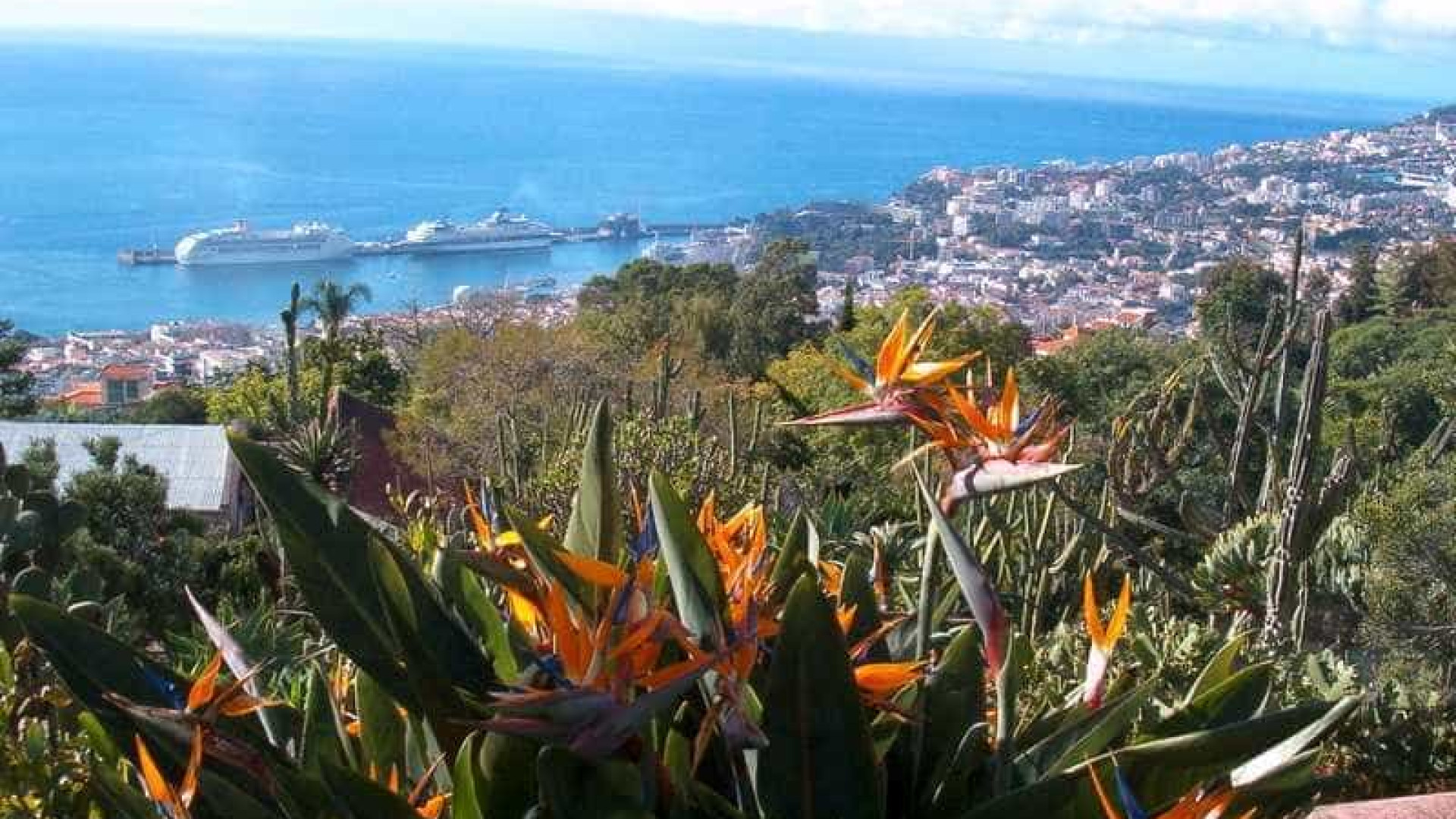 Investimento de 1,2 milhões em ribeira do Funchal para garantir segurança