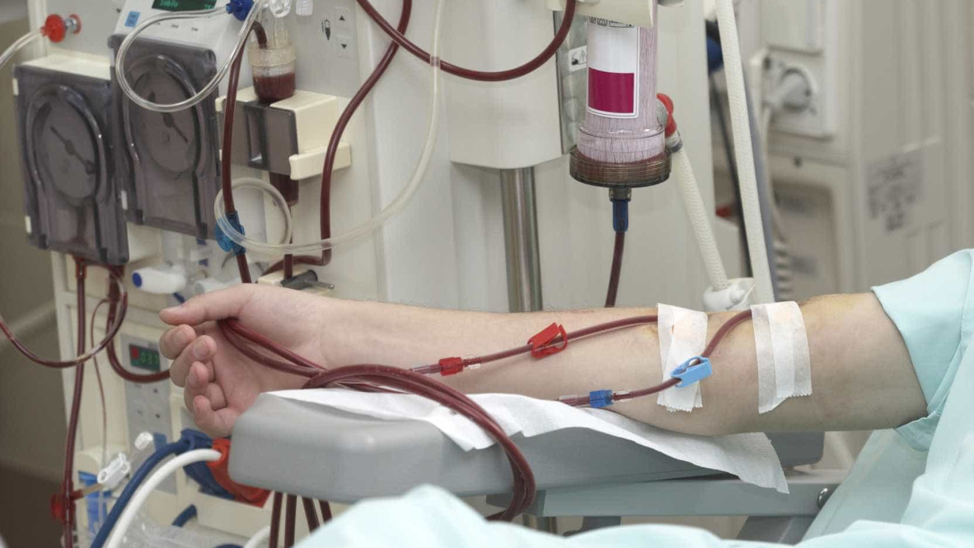 História da "cura" da hepatite C recordada por intervenientes no processo