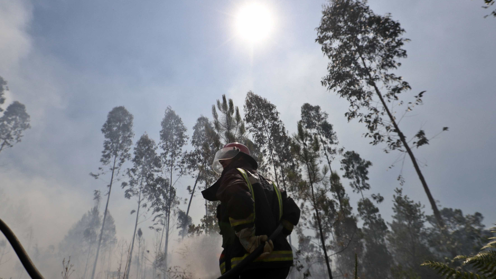 Fogo florestal em Monchique já está dominado