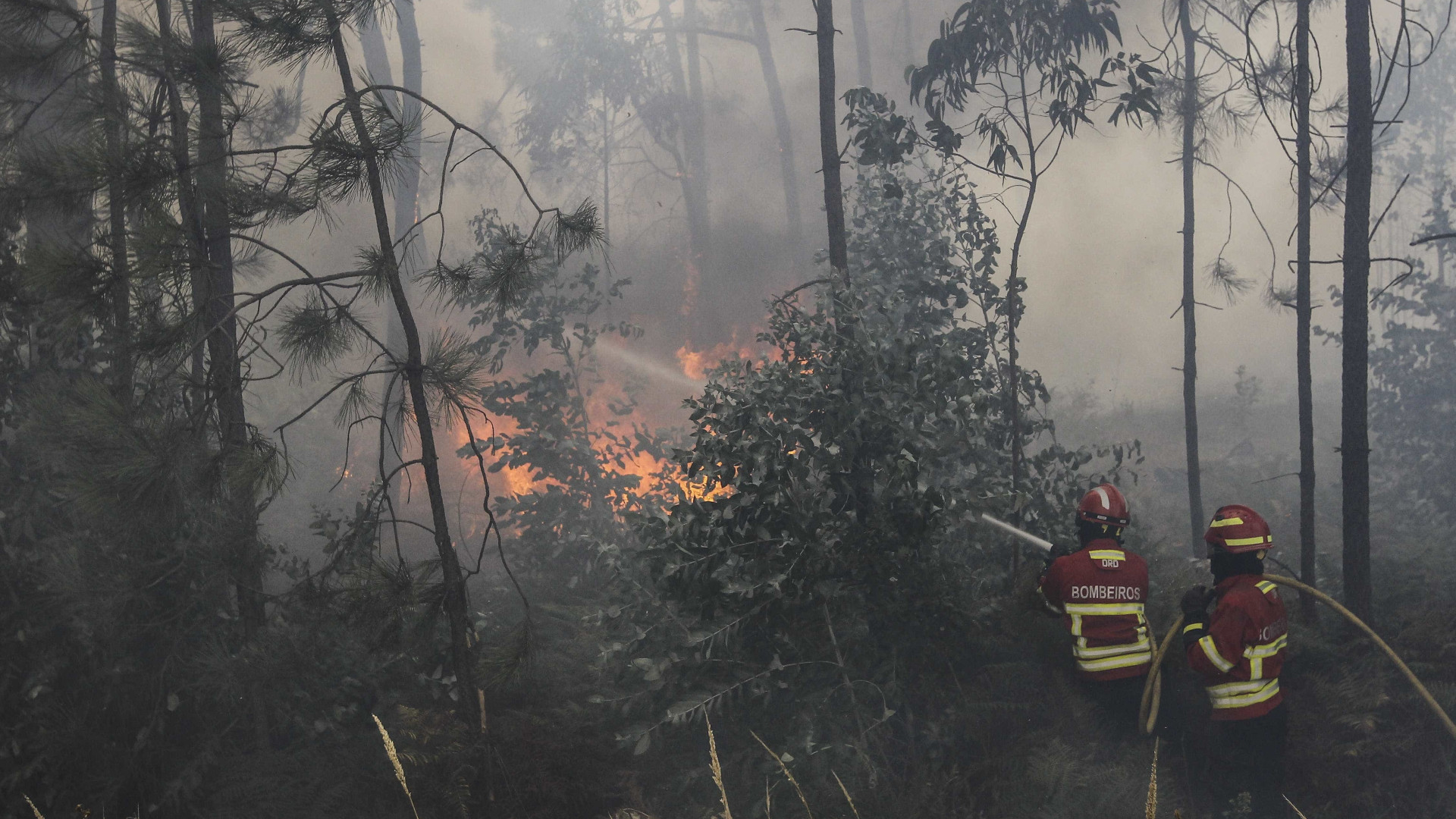 Incêndio gigantesco deixa 24 mortos em Portugal