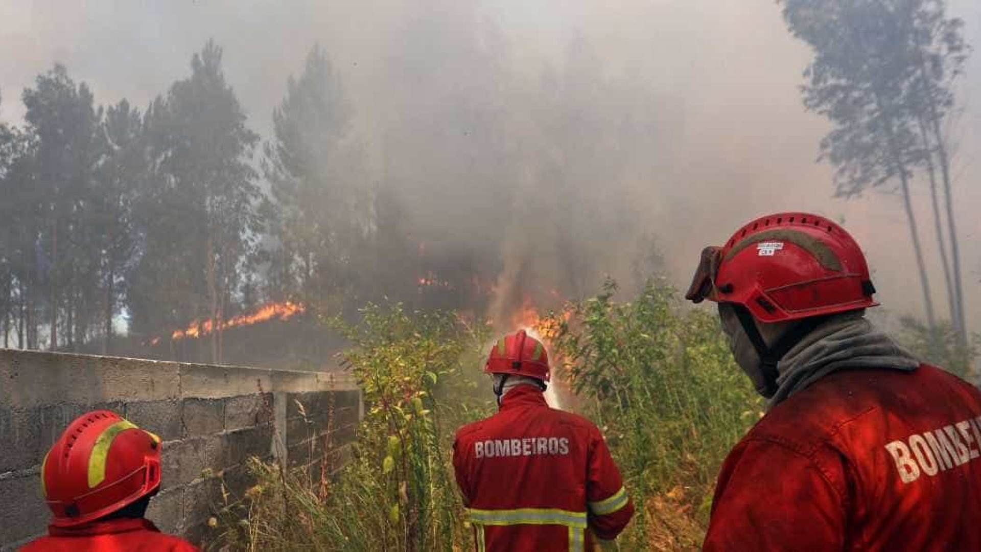 Liga apela à doação de água, fruta e barras energéticas para bombeiros