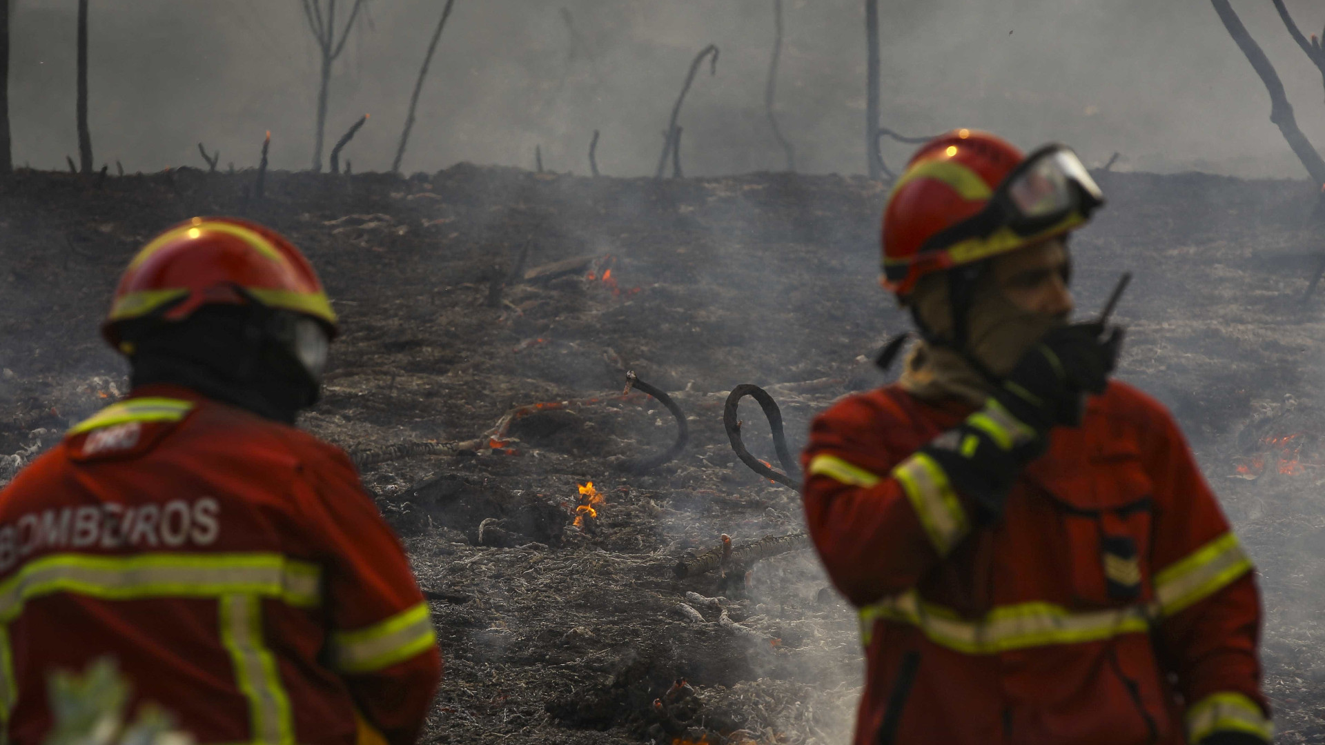 Incêndios: Cinco concelhos de Faro e Guarda em risco muito elevado