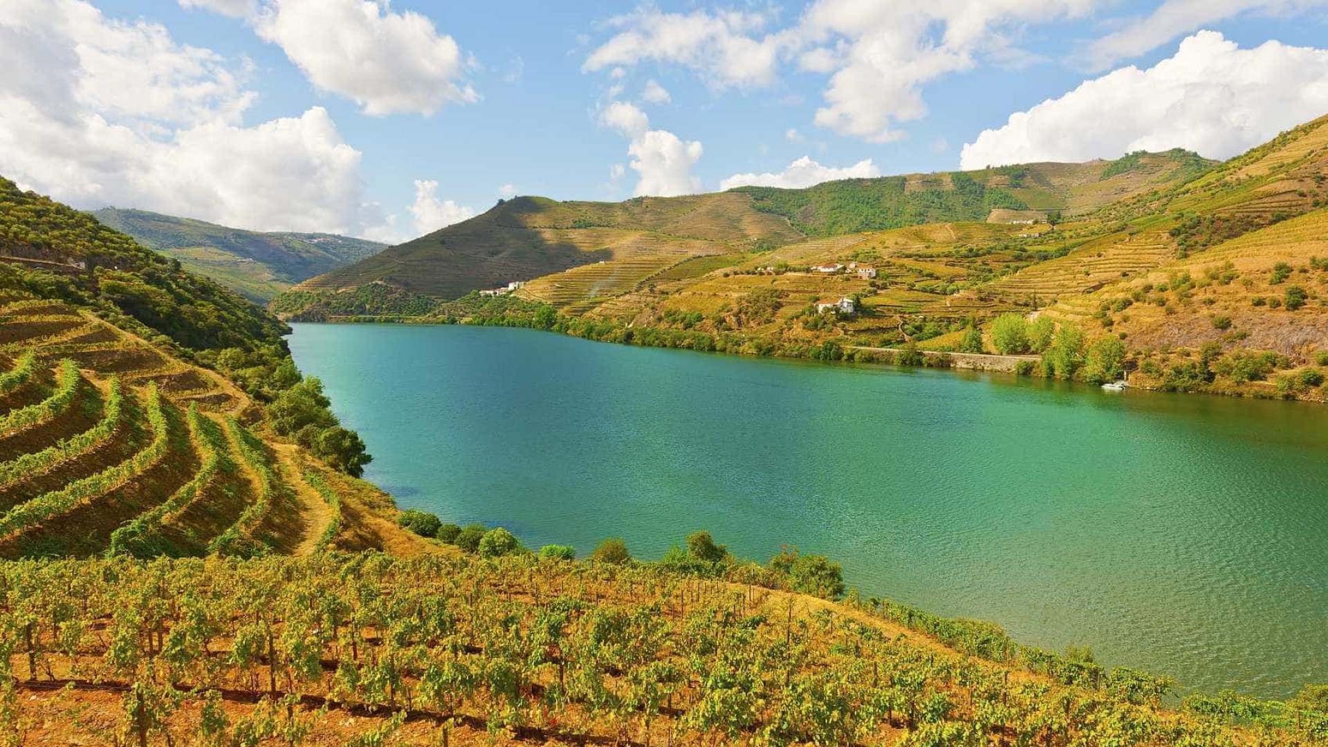 Rio Douro com 1,2 milhões de turistas em 2017