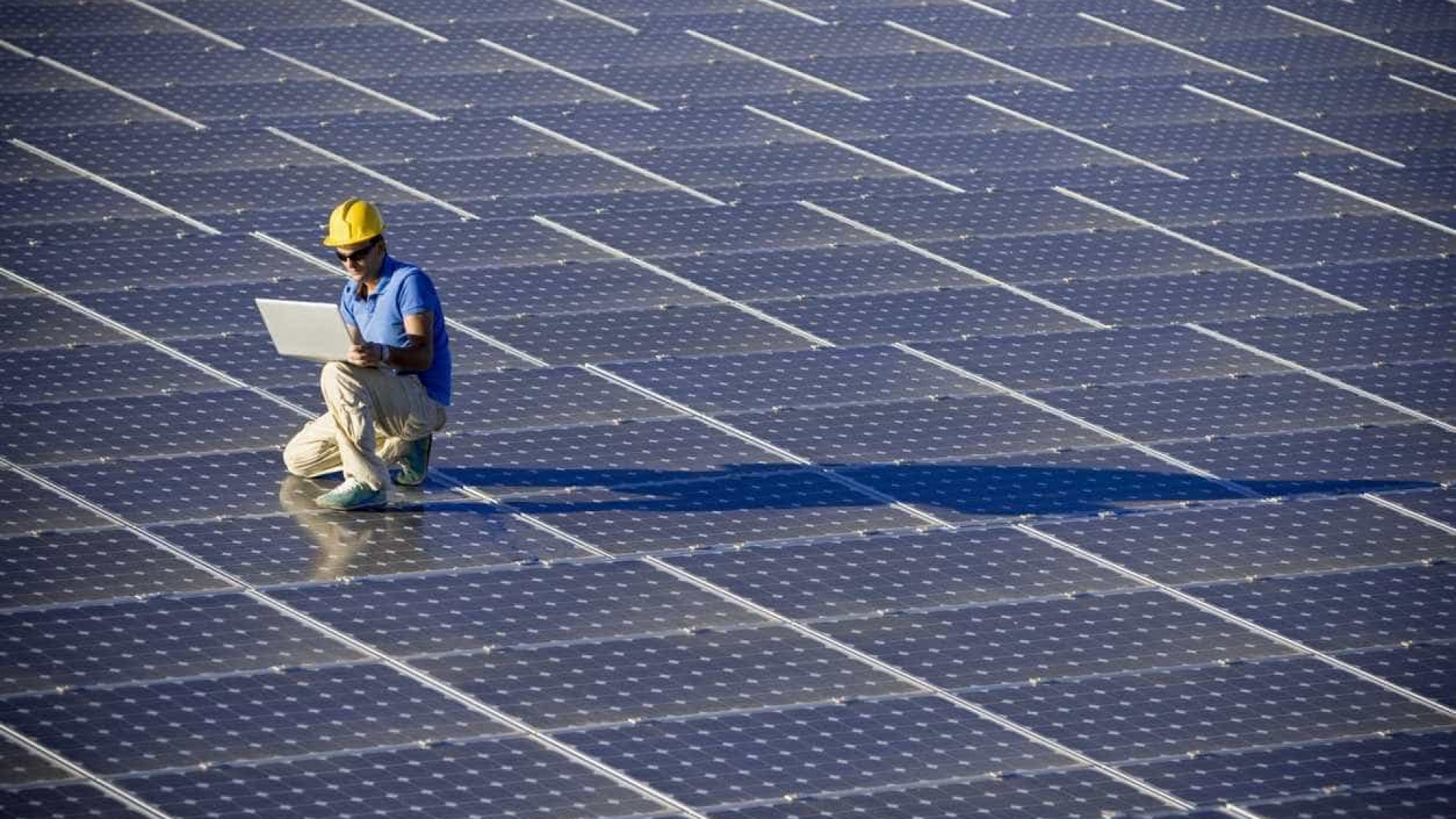 Dona do Pingo Doce passa a contratar apenas energia renovável