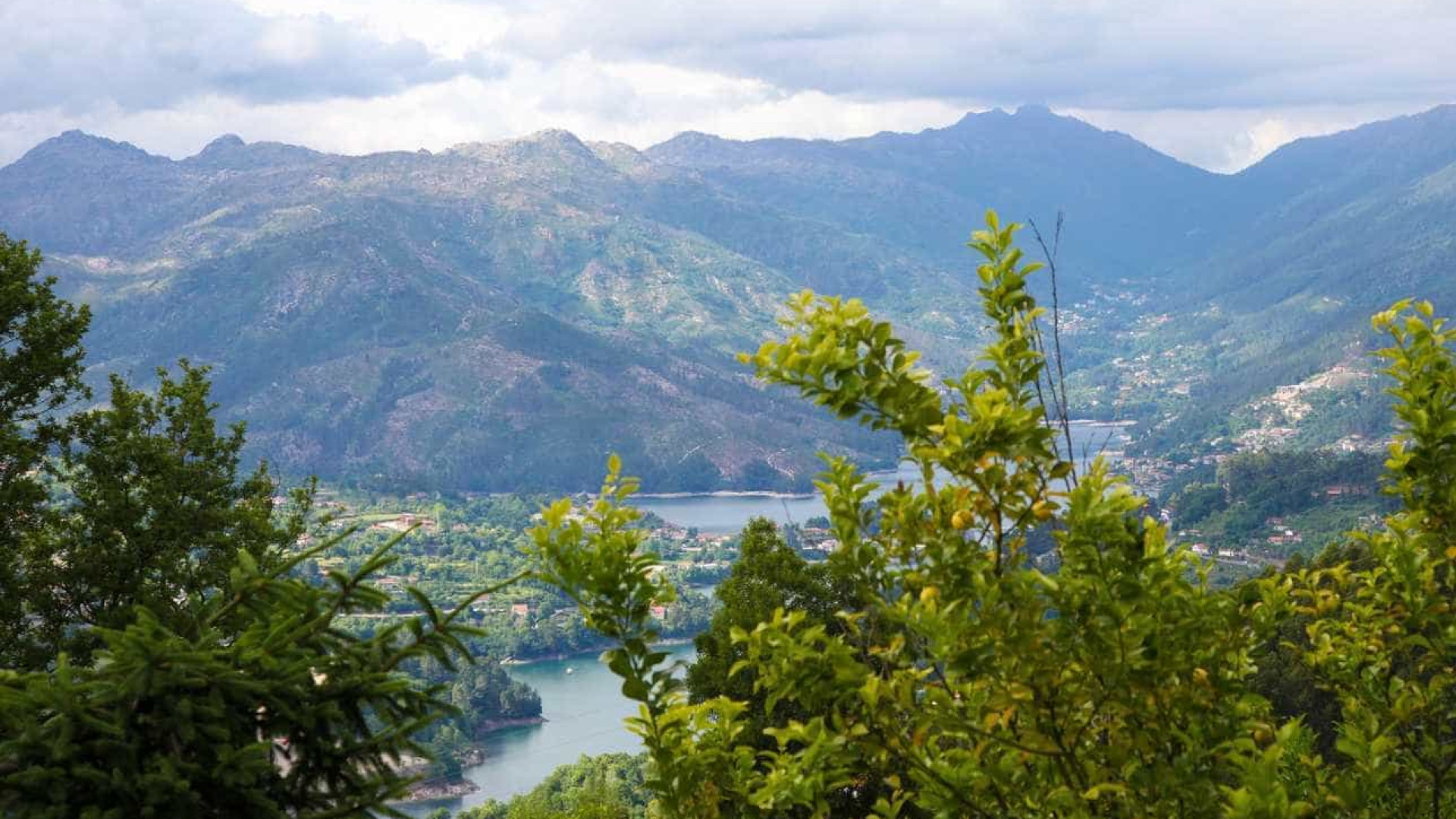 Parque Peneda Gerês inicia campanha nacional de reflorestação