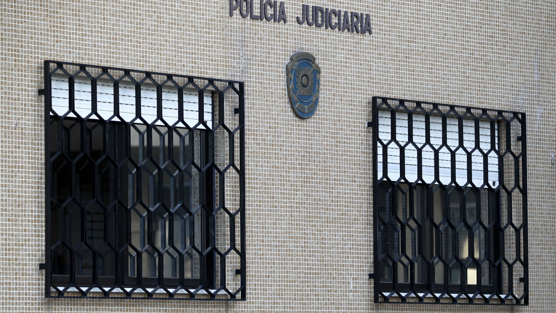 PJ apreende elevado número de armas e munições na Mealhada