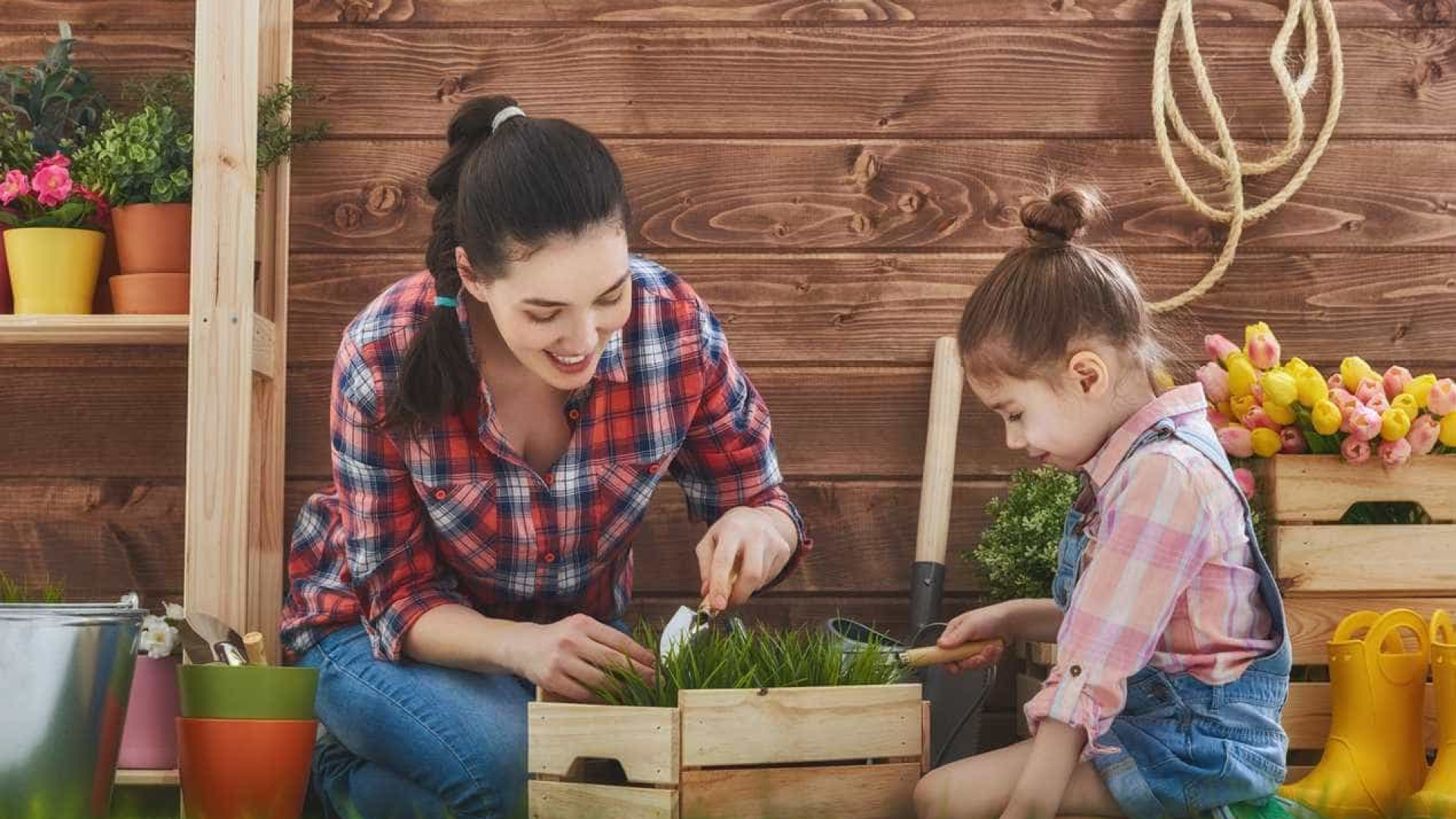 Diga olá à primavera com mais energia e saúde