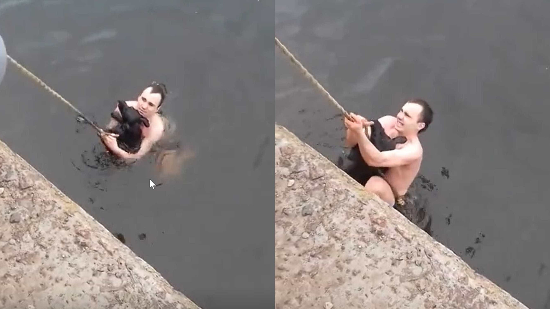 Jovem salva cão de lago gelado