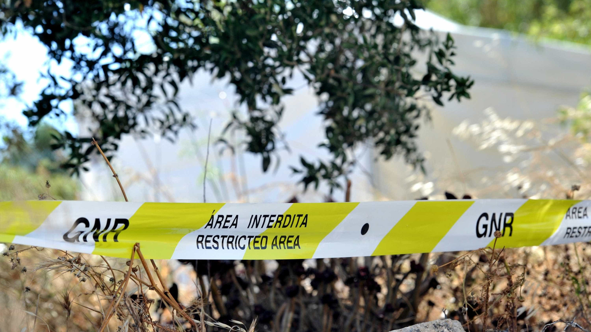 Idoso desaparecido há semanas encontrado morto perto de casa